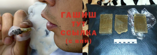 мет Алексин