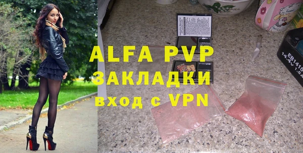 мет Алексин
