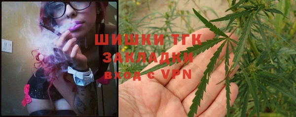 сатива Анива